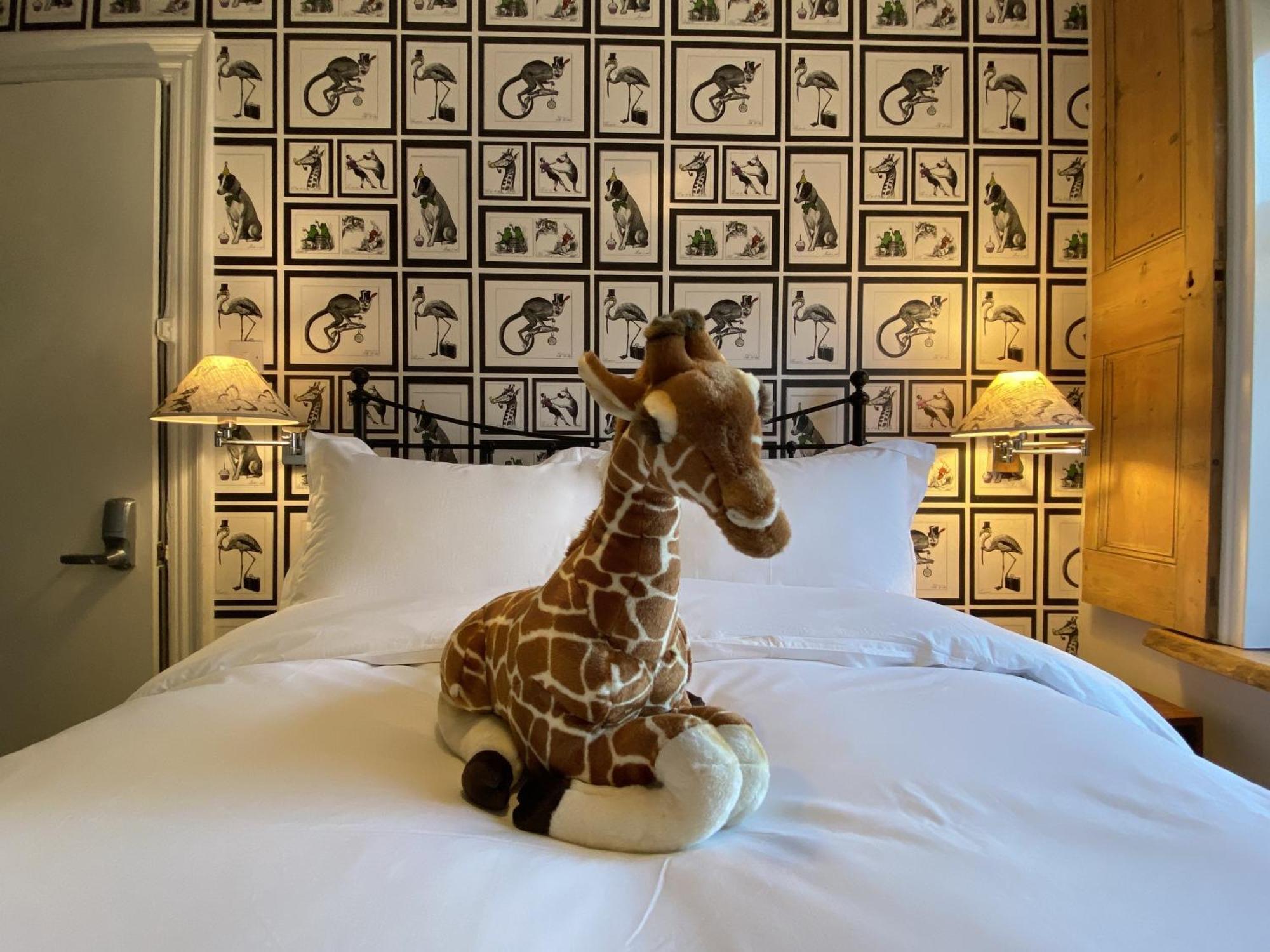 27 Brighton Guesthouse エクステリア 写真